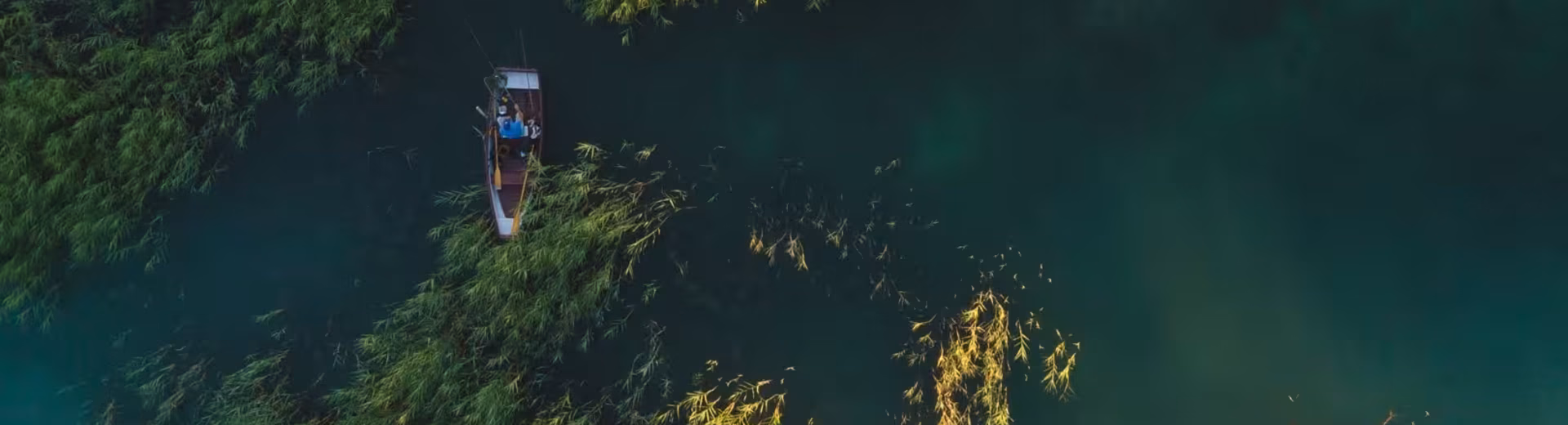 Udržitelnost v srdci našeho podnikání