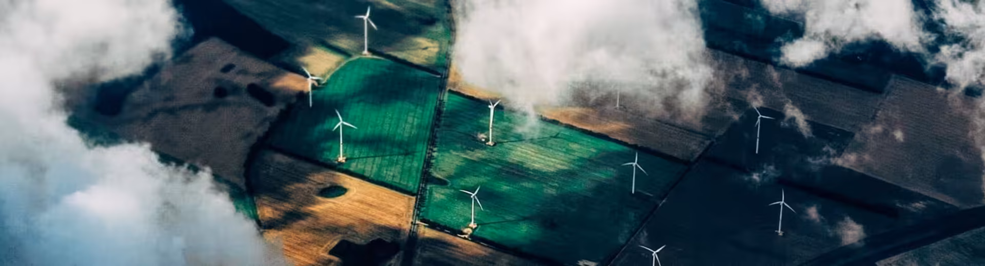 Specializované služby po celém světě