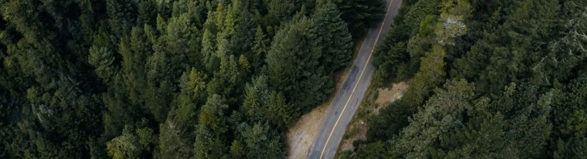 Místní působnost - globální přítomnost